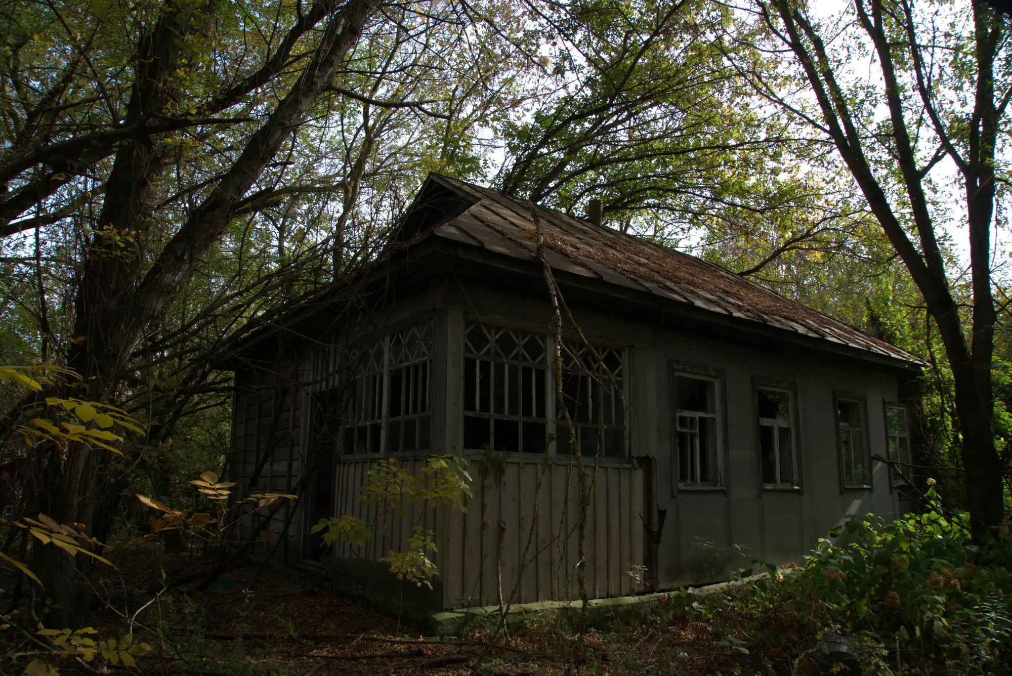 Das Haus steht im Wald. Der Wald kam nach.