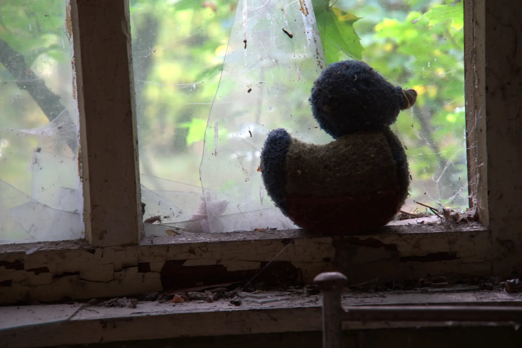 Die arme Ente sitzt alleine am Fenster und schaut raus.
